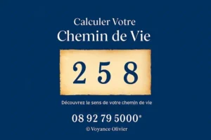 numérologie chemin de vie